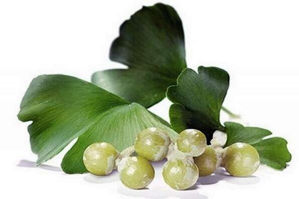 Ginkgo Biloba rrit fuqinë mashkullore